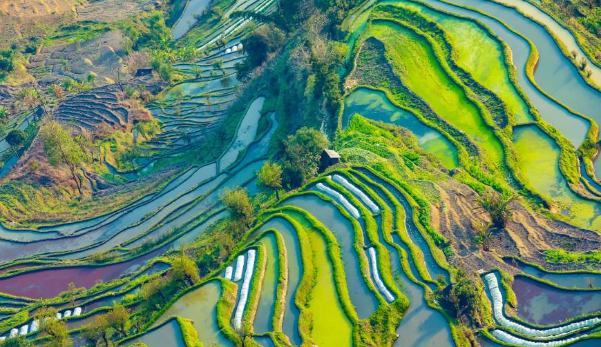 宝妈必备神器：恩施产品视频拍摄轻松育儿好帮手