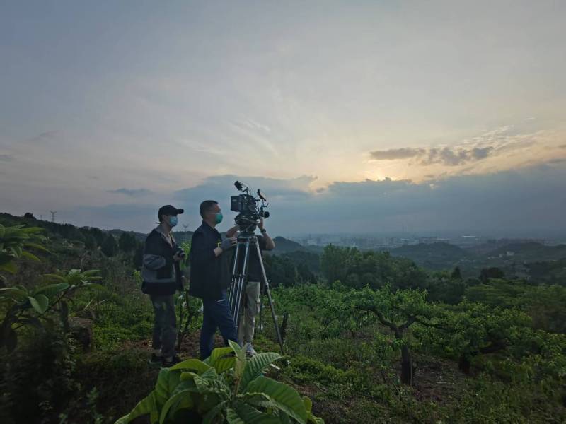 创意破圈！恩施电商产品宣传视频用故事化叙事引爆流量